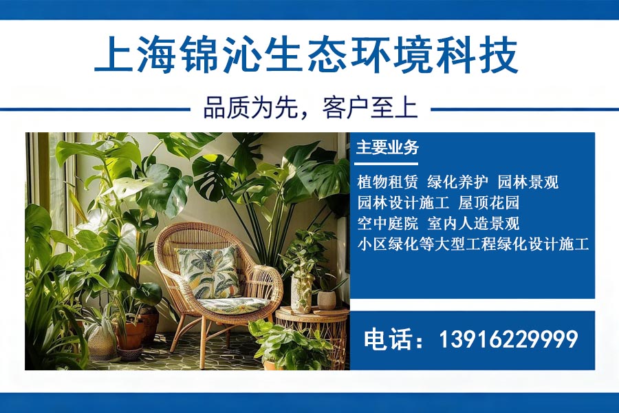 锦沁生态崇明线上分站